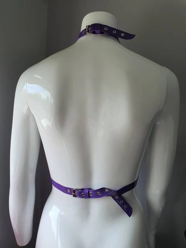 Command Harness