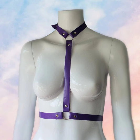 Latex Upper Body Harness